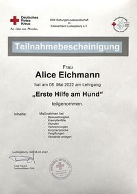 thebeachdog-ludwigsburg-Zertifikate__Erste_Hilfe