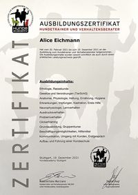 thebeachdog-ludwigsburg-Zertifikate__Hundetrainer_Ausbildungszertifikat